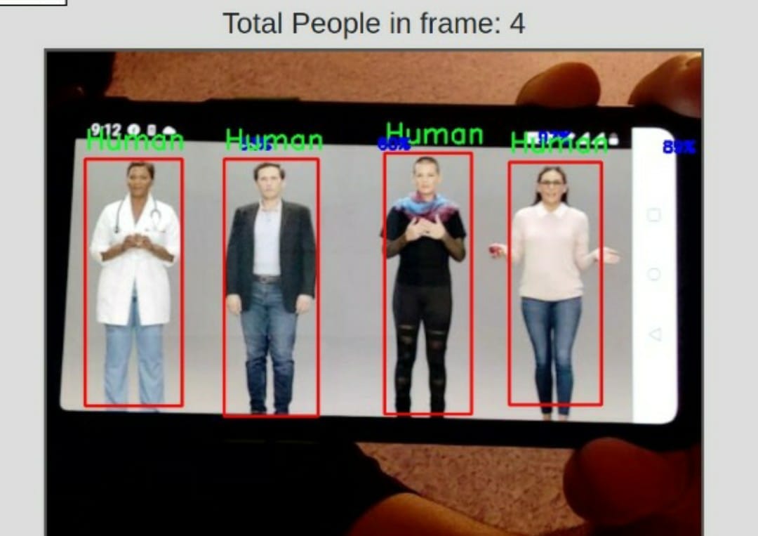 Visual Object Detection